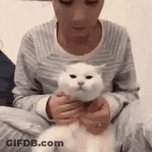 Woman Sitting On Floor Holding White Cat GIF