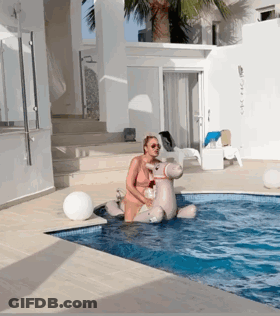 Woman Sitting On Inflatable Hippo GIF