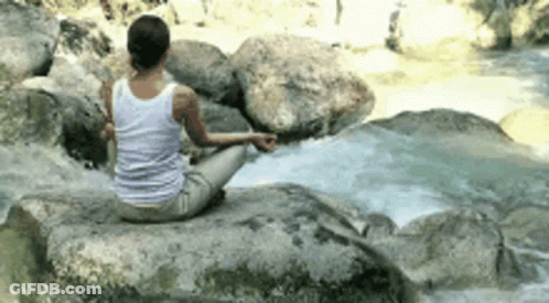 Woman Sitting On Rock By River GIF