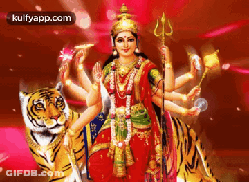Woman Sitting On Top Of Tiger GIF