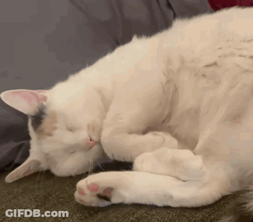 Woman Sitting With Hand On Chin GIF