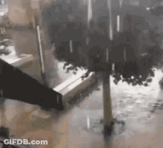 Woman Slipped In Funny Rain GIF