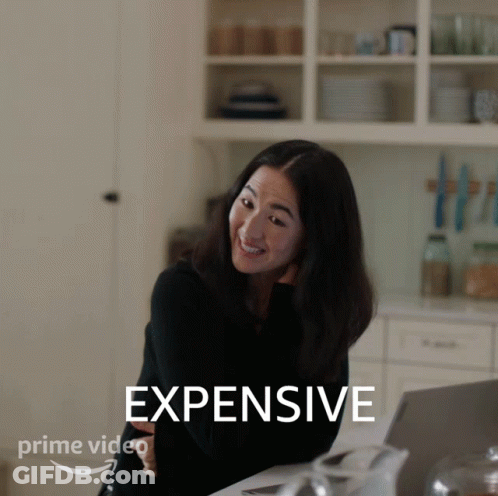 Woman Smiling At Laptop Saying Expensive GIF