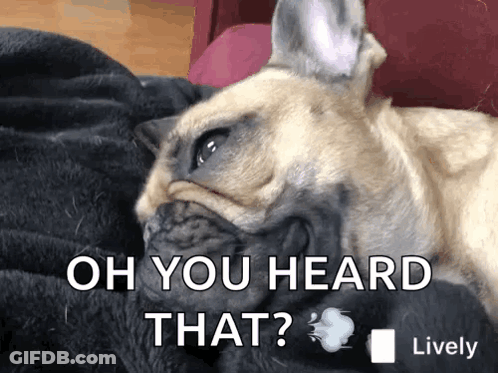 Woman Squatting With 50 Dumbbell GIF