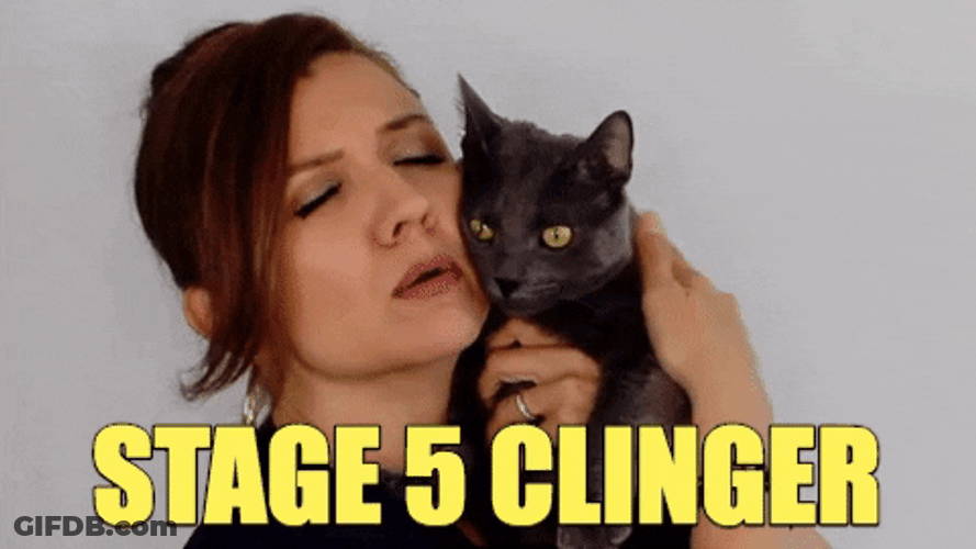 Woman Staged Act Of Kindness GIF