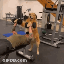 Woman Standing At Restaurant Cash Register GIF