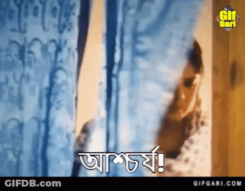 Woman Standing At Window With Gifgari.com Sign GIF