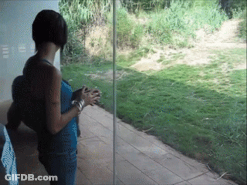 Woman Standing By Glass Door Overlooking Field GIF