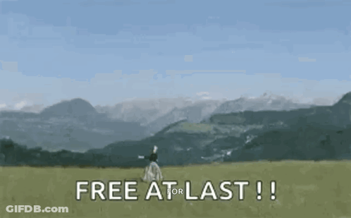 Woman Standing In Field With Mountains Free At Last GIF