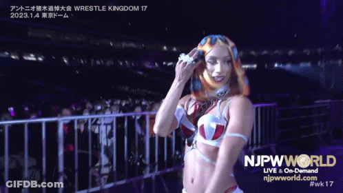 Woman Standing In Front Of Fence With Njpwworld GIF