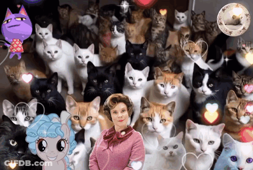 Woman Standing In Front Of Group Of Cats GIF