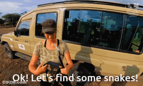 Woman Standing In Front Of Vehicle GIF