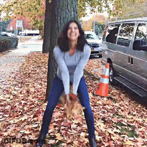 Woman Standing In Pile Of Leaves Next To Van GIF
