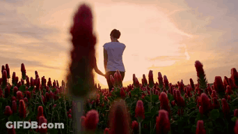 Woman Standing In Red Flowers Holding Flower GIF