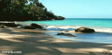 Woman Standing In Water At Sunset GIF