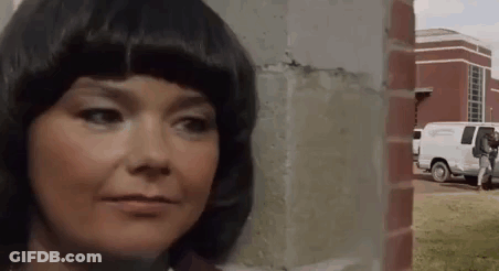 Woman Standing Next To Brick Wall With White Van GIF
