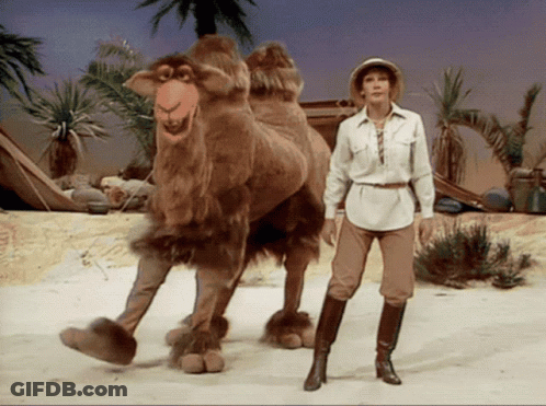 Woman Standing Next To Camel With Cartoon Face GIF