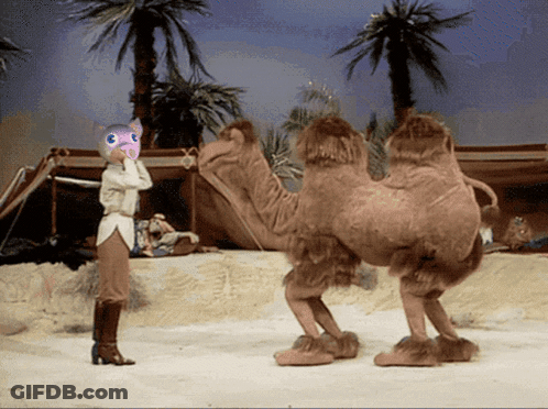 Woman Standing Next To Camel With Cat Head GIF