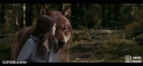Woman Standing Next To Large Wolf With Mobi Recorder GIF