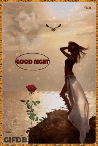 Woman Standing Next To Rose Saying Good Night GIF