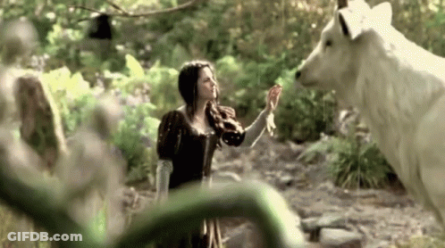 Woman Standing Next To White Wolf In Forest GIF