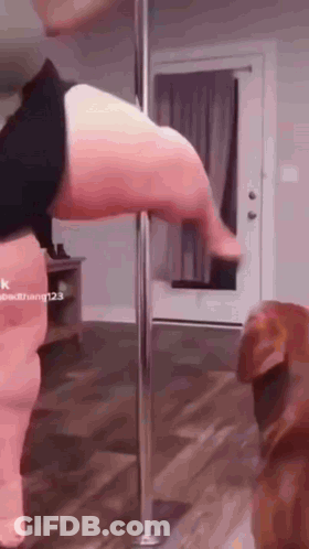 Woman Standing On Pole In Living Room With Dog Behind GIF