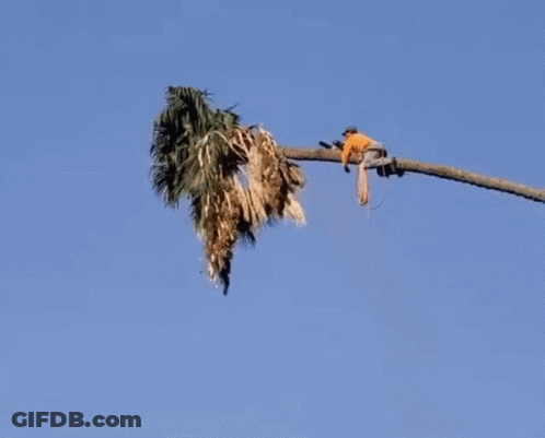 Woman Statue Holding Torch With Lion And Man GIF