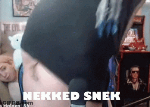 Woman Stomach With Nekked Snek GIF