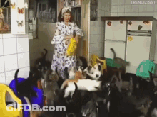 Woman Surrounded By Cats And Dogs GIF