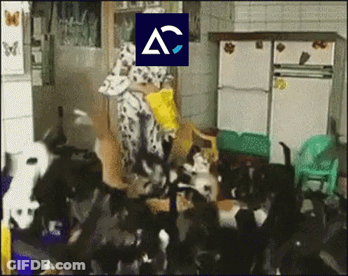Woman Surrounded By Cats With AC Logo GIF