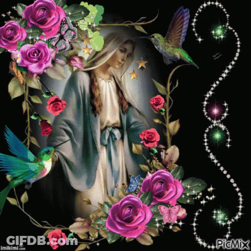 Woman Surrounded By Pink Roses And Hummingbirds Picmix GIF