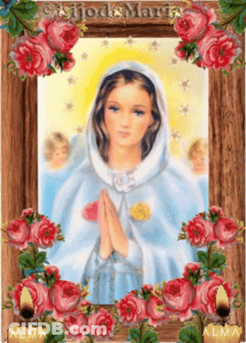Woman Surrounded By Pink Roses With Alma GIF