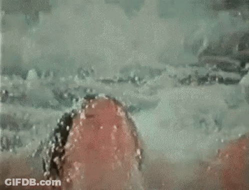 Woman Swimming In Pool With Canada Sign GIF