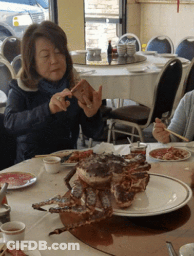 Woman Taking Picture Of Crab GIF