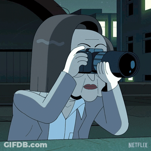 Woman Taking Picture With Netflix GIF