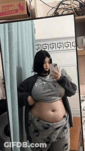 Woman Taking Selfie In Mirror With Model Cat Box GIF