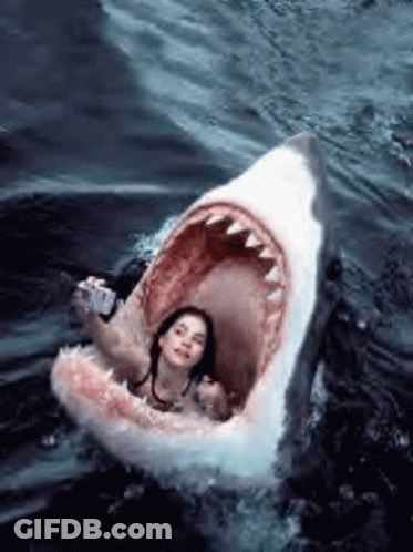 Woman Taking Selfie In Shark's Mouth GIF