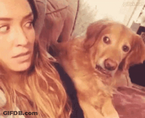 Woman Taking Selfie With Dog GIF
