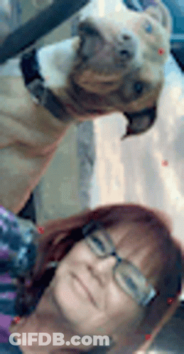 Woman Taking Selfie With Dog In Car GIF