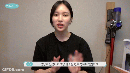 Woman Talking In Front Of Mina TV Vacuum GIF