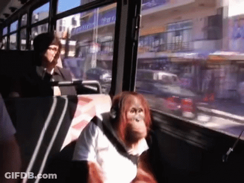 Woman Talking On Cell Phone Saying You Don't Have To Believe Me GIF