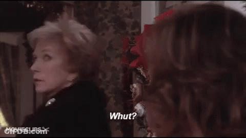 Woman Talking To Another Woman Saying What GIF