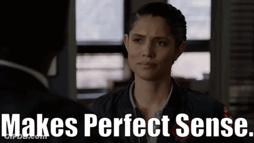 Woman Talking To Man Makes Perfect Sense GIF