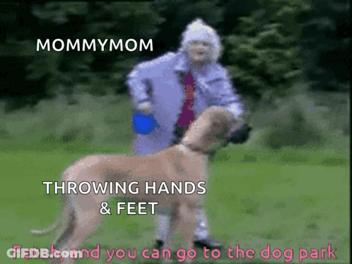 Woman Throwing Hands And Feet Saying Mommymom Fetch Lets Go To The Dog Park GIF
