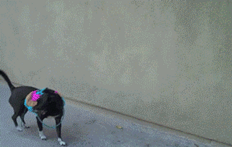 Woman To Man Bikini Transformation GIF