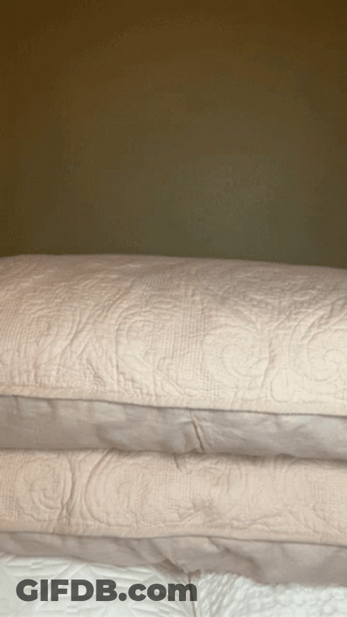 Woman Trying To Hide Under Cushions GIF
