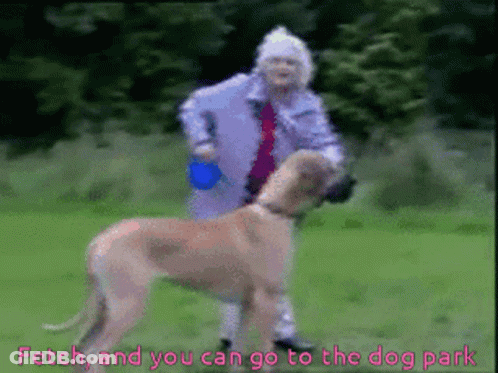 Woman Walking Dog Fetch And You Can Go To The Dog Park GIF