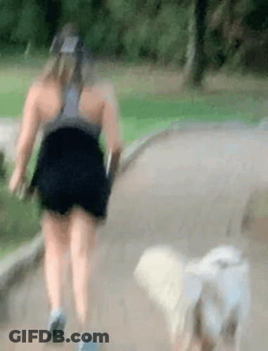 Woman Walking Dog On Leash GIF