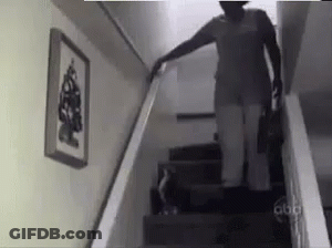 Woman Walking Dog Up Stairs GIF