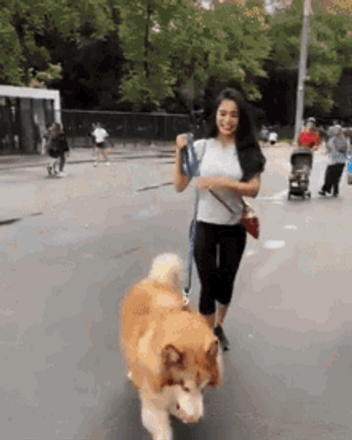 Woman Walking Her Dog GIF